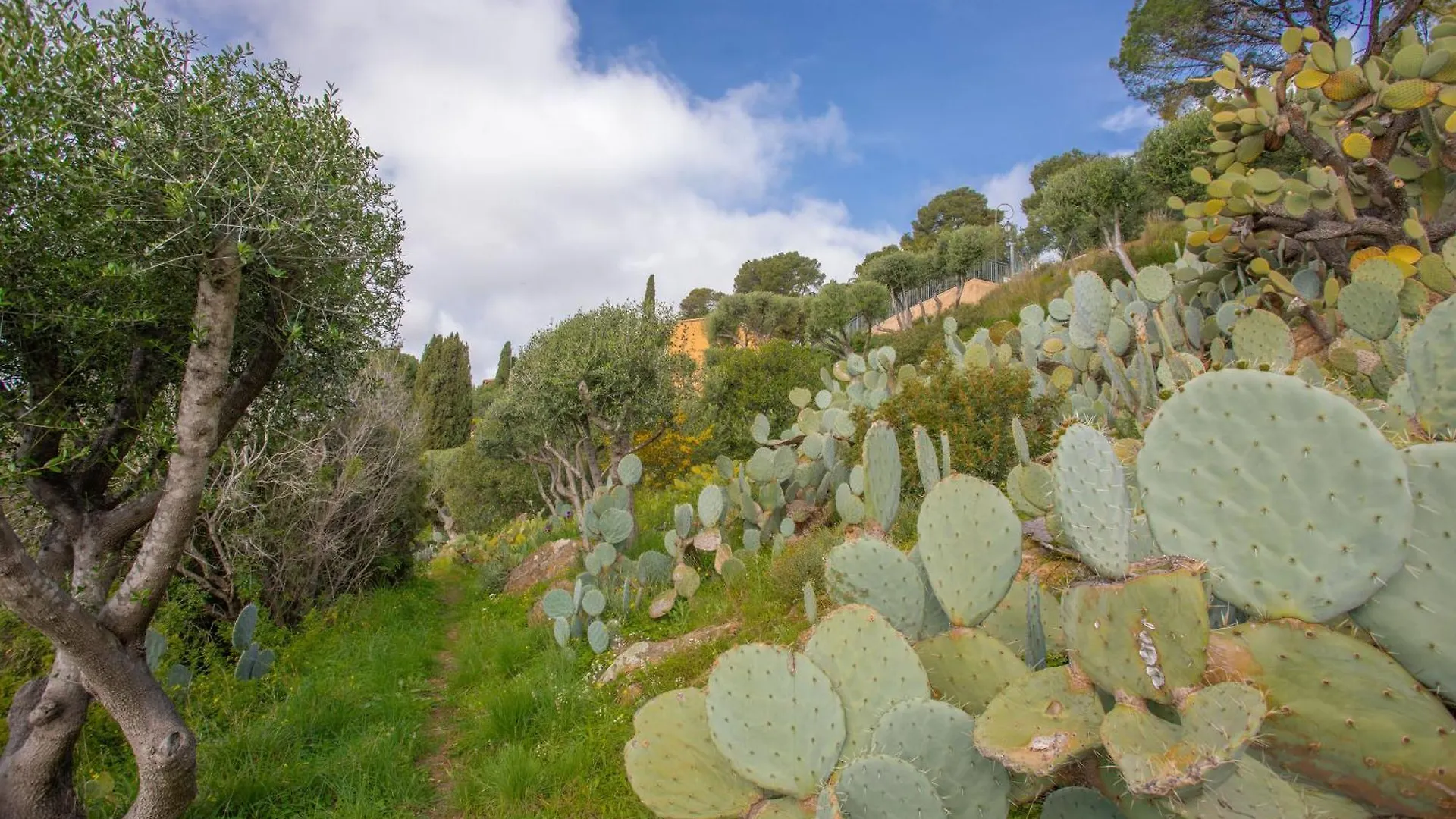 Appartamento Le Mas Berliat Studio N° 10 Bormes-les-Mimosas