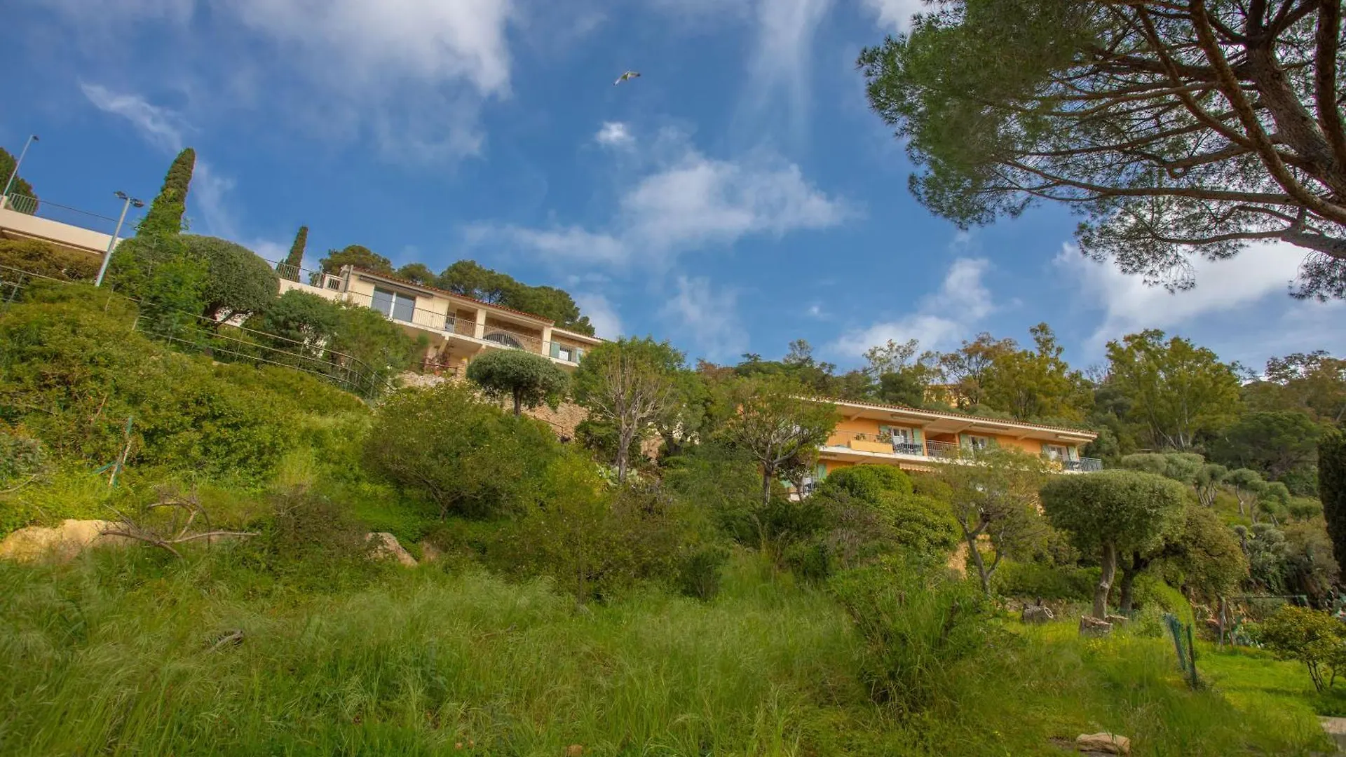Le Mas Berliat Studio N° 10 Bormes-les-Mimosas France
